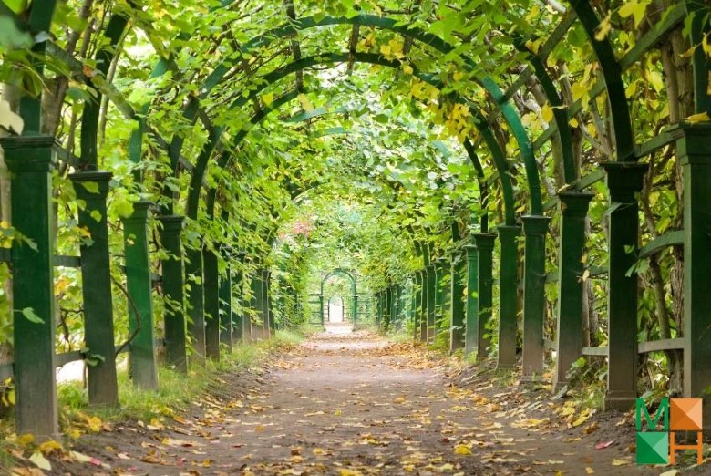 Tranh dán tường Hàn Quốc 3d khổ lớn tại Hà Nội NA - 171